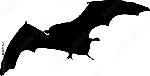bat silhouette, vector, illustration
