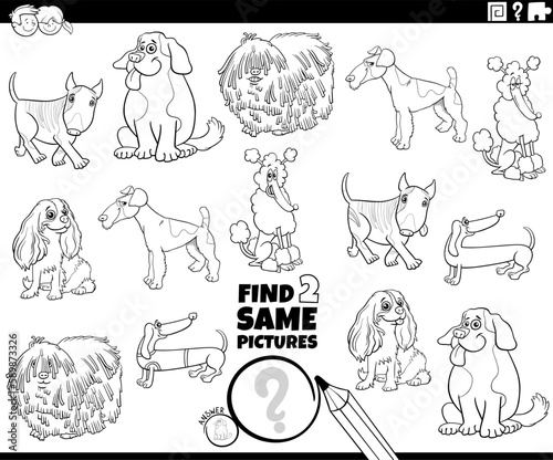 find two same cartoon purebred dogs activity coloring page