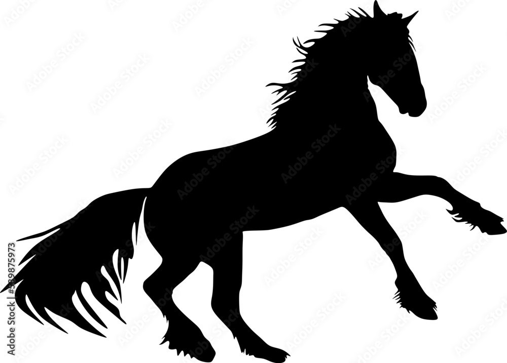 horse icon,silhouette,vector,illustration horse icon,silhouette,vector,illustration