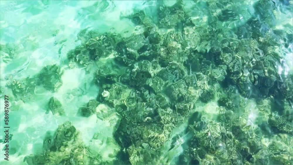 Blue water with sun glare and swimming fish. Top view of fish swimming in the water over a rocky bottom in the Red Sea in Egypt. The seaside resort is all inclusive and travel. Hurghada 2022