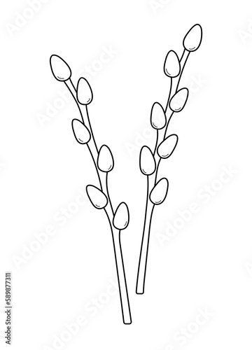 Two branches of willow. Spring easter elements in doodle line style. Palm Sunday. Isolated vector illustration.