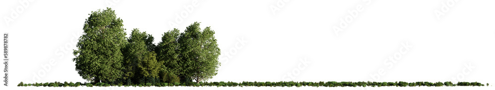 open landscape with trees and bushes, isolated on transparent background panorama banner with empty space open landscape with trees and bushes, isolated on transparent background panorama banner with empty space