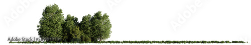open landscape with trees and bushes, isolated on transparent background panorama banner with empty space © dottedyeti