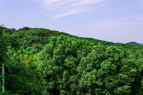 the Window of the World. It is a theme park opened in 1993 and has more than 130 reproductions of famous places in the world. Tianducheng, China is suburb of Hangzhou, Zhejiang photo