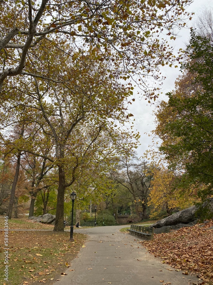 Fototapeta premium New York City