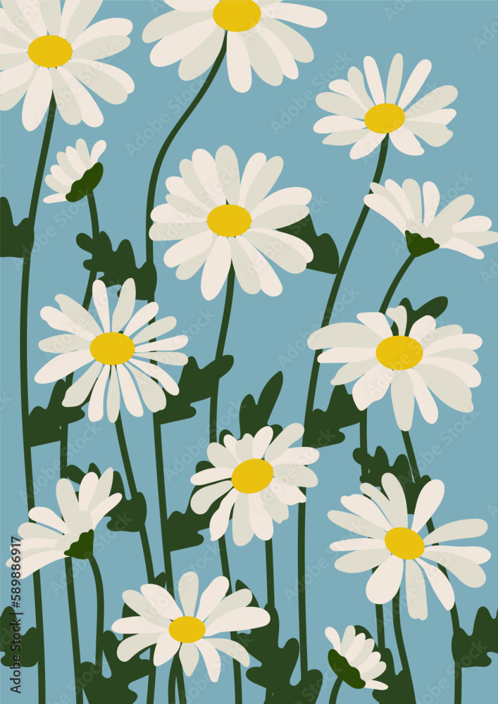 Daisy flower background.Eps 10 vector. Daisy flower background.Eps 10 vector.