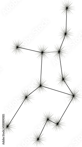Virgo Zodiac Star sign star Constellation  black vector line drawing