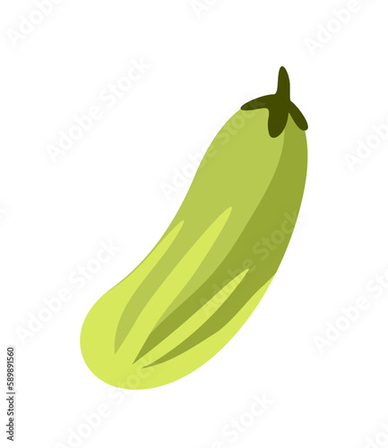 Healthy food icon. Sticker with green zucchini. Natural farm product. Organic vegetable with vitamins. Healthy lifestyle and diet. Cartoon flat vector illustration isolated on white background