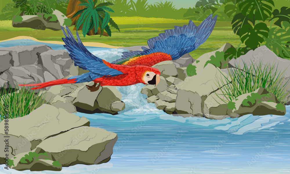 View of A scarlet macaw parrot flies over a river with a small waterfall. Rock ...