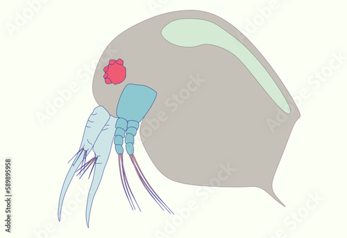 Plankton or water flea shameless vector icon. Cartoon vector icon isolated light purple color 