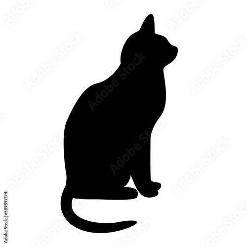 black cat isolated on white PNG