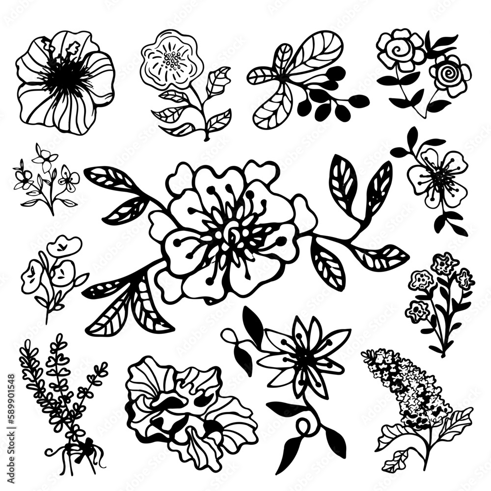 Cute hand drawn set of graphic floral and herbal elements. Doodle vector illustration for wedding design, logo and greeting card.