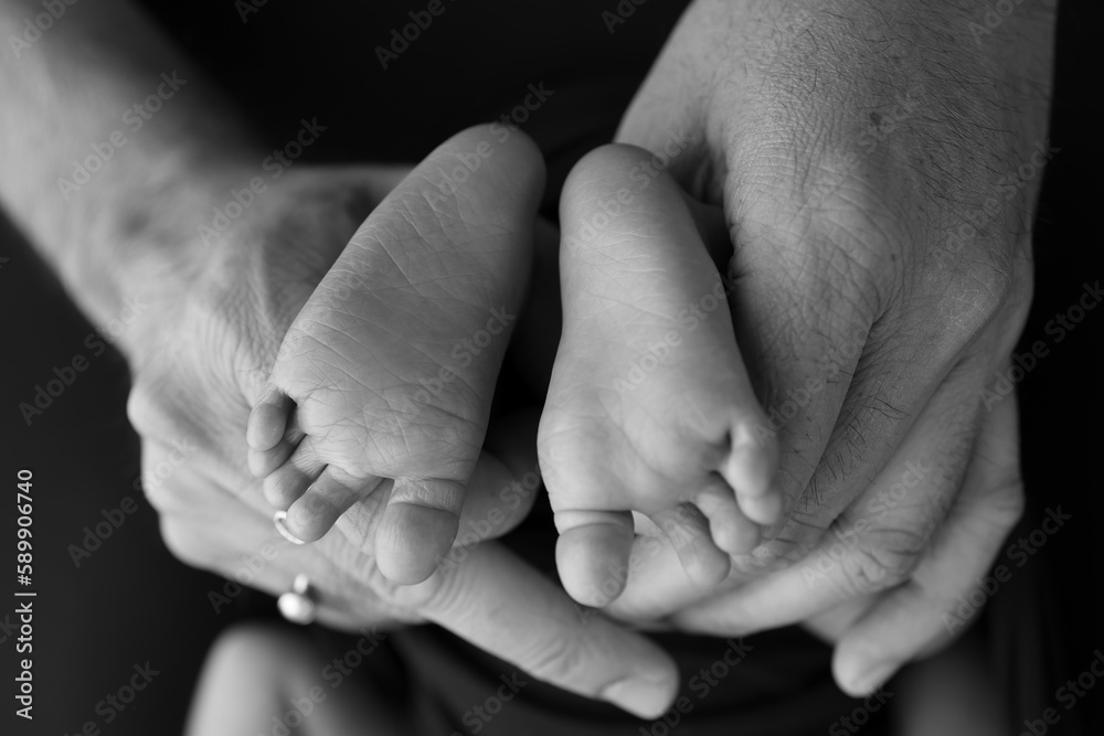 Black and white shade beautiful shape hands of mother, hold tiny newborn baby feet on black background with love, care, family safety and protection, child with premature birth concept or NICU care Black and white shade beautiful shape hands of mother, hold tiny newborn baby feet on black background with love, care, family safety and protection, child with premature birth concept or NICU care