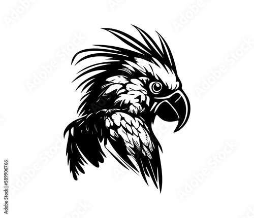 Parrot Face, Silhouettes Parrot Face SVG, black and white Parrot vector