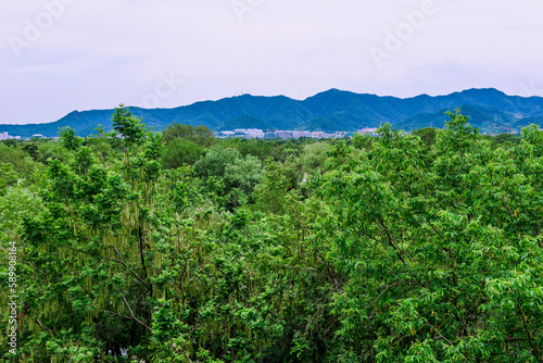 Xixi Hangzhou National Wetland Park among which are scattered various ponds, lakes and swamps.