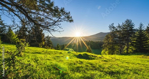 Sunrise in green spring nature with grassy meadow in forest landscape Time lapse 4k UHD