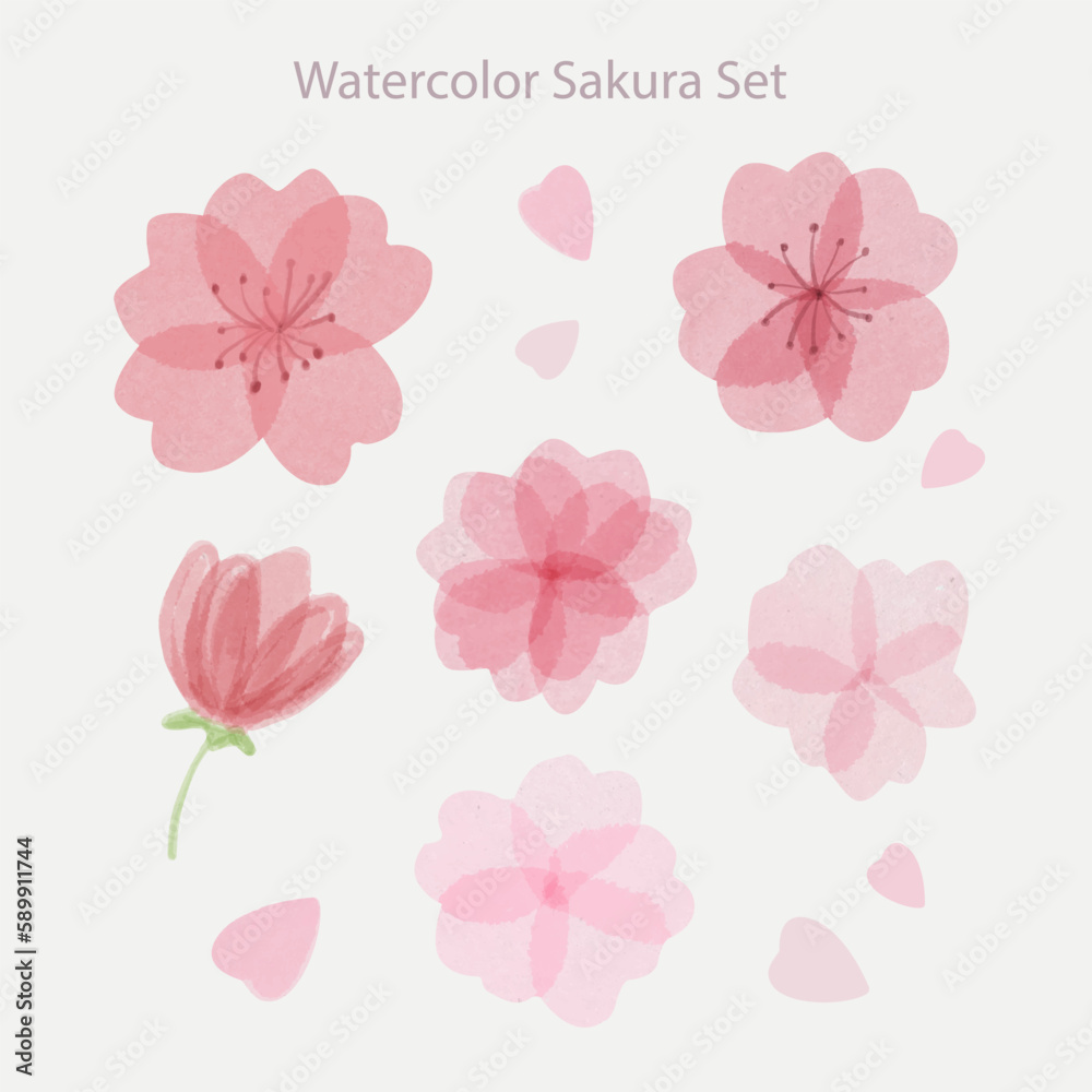 Set of beautiful hand drawn watercolor sakura flowers with petals
