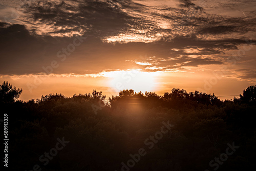 sunset in the forest