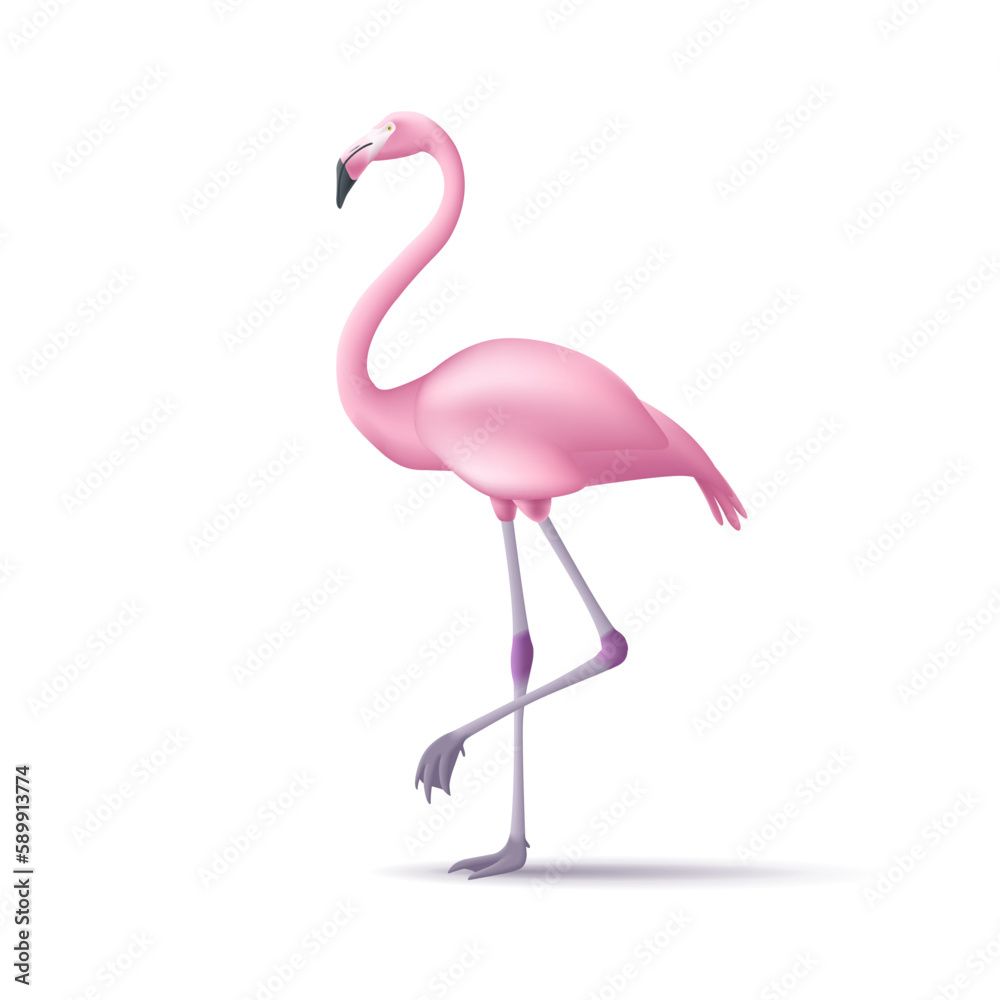 Naklejka premium 3d stylized flamingos standing and walking isolated for summer and tropical wildlife animal. Vector illustration.