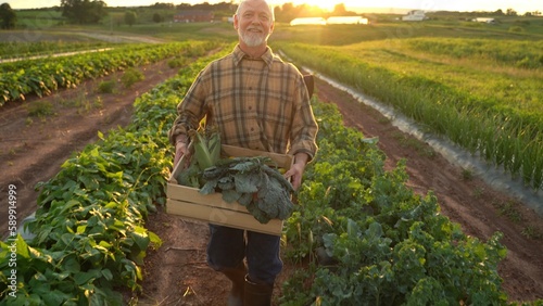 Backlit portrait of senior caucasian good looking wise man farmer looking at the side, turning face to the camera in a field.