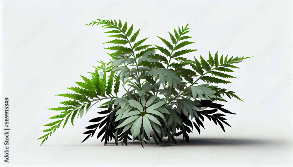 Beautiful composition with fern and other tropical leaves ai generated image