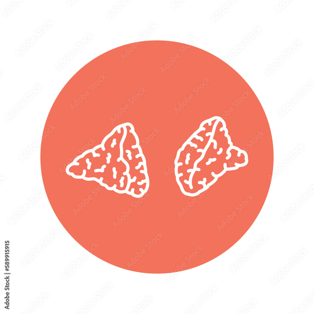 Adrenal glands color line icon. Endocrine system