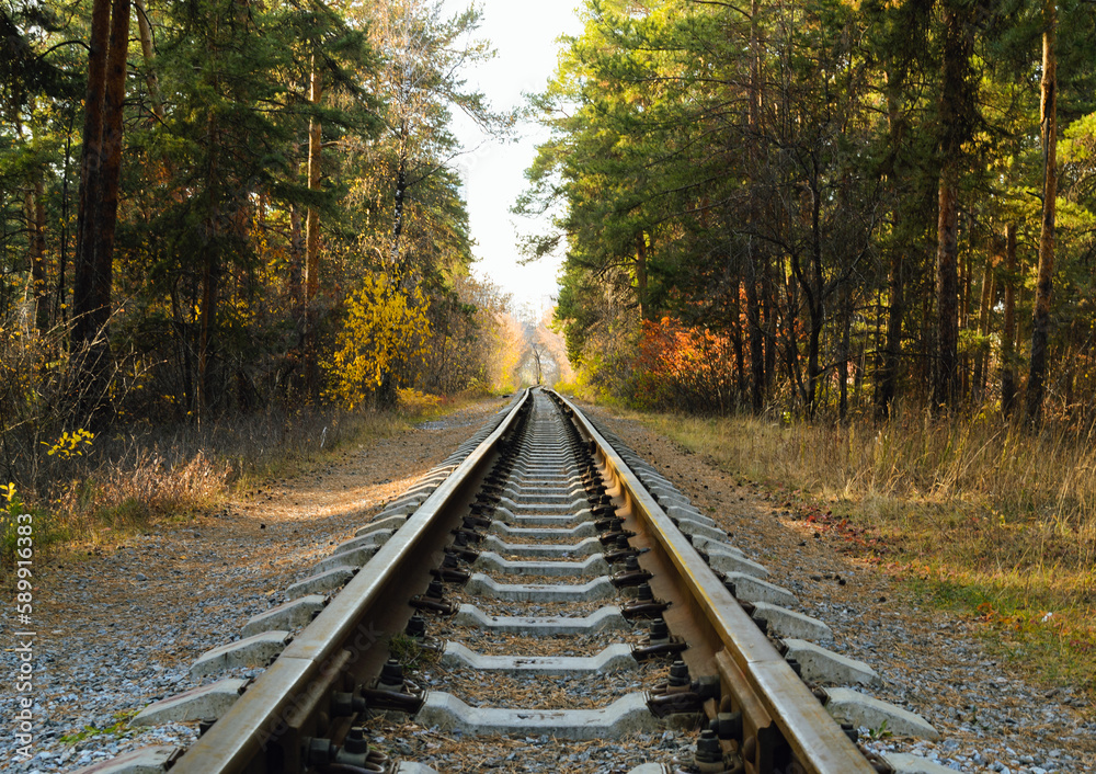 Railway in the middle of the autumn forest in the evening sunlight Railway in the middle of the autumn forest in the evening sunlight