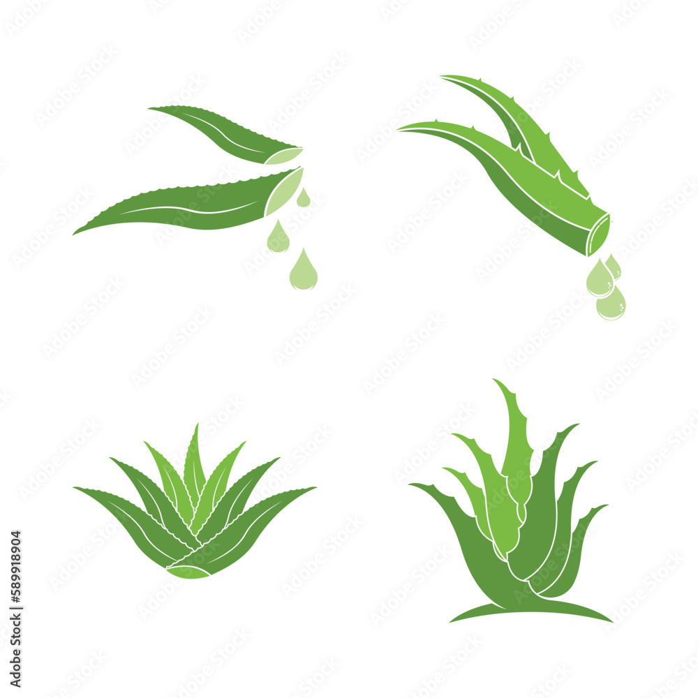 Aloe Vera logo icon design symbol beauty Aloe Vera logo icon design symbol beauty