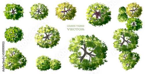 Vector watercolor of green tree top view isolated on white background for landscape layout plan and architecture drawing, elements for environment and garden,blooming botanical elements 