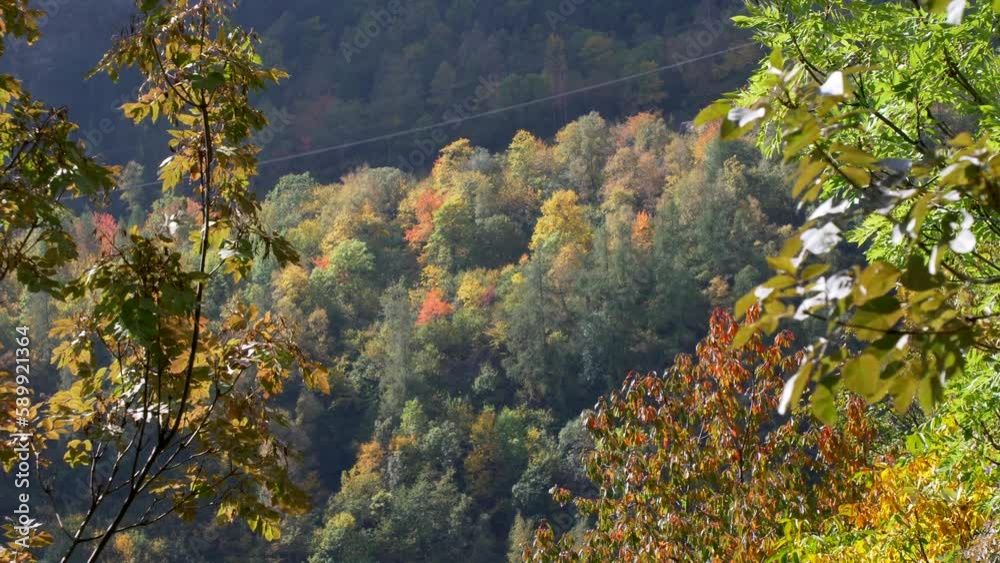 Mountain landscape in autumn season Autumn colors. Slow motion 4K Mountain landscape in autumn season Autumn colors. Slow motion 4K