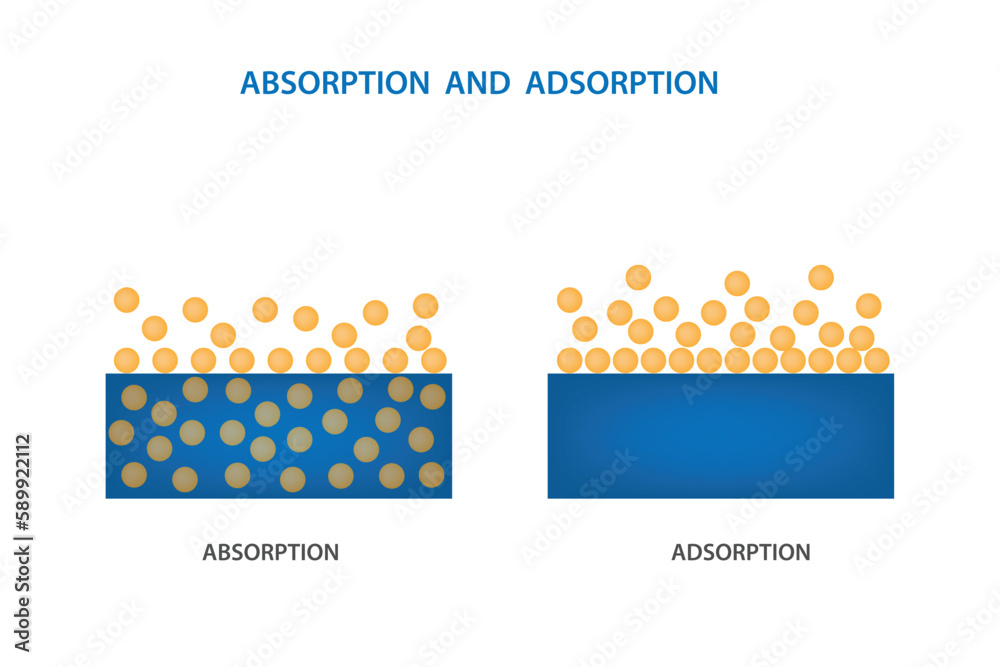 difference between adsorption and absorption on molecular surface