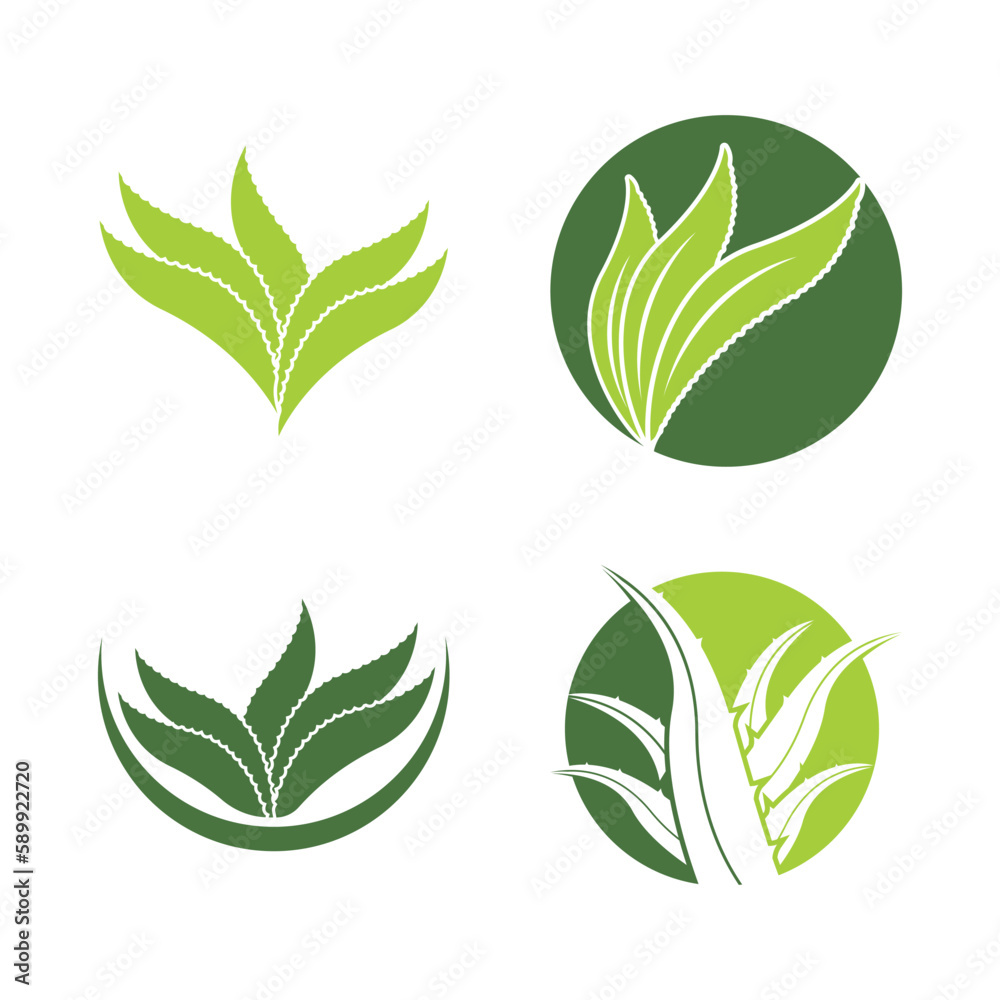 Aloe Vera logo icon design symbol beauty Aloe Vera logo icon design symbol beauty