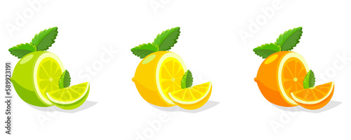 Fototapeta Naklejka Na Ścianę i Meble -  Citrus vector icons. A collection of citrus items. Lime, lemon, and orange illustration. Tropical fruit icons. Vector eps10