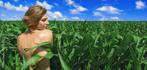 Green and Serene.Young Woman Standing in a Green Cornfield with an Exposed Back, Embracing the Beauty of Nature