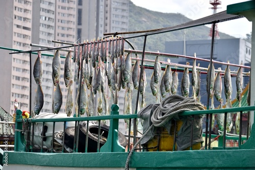 Fish drying out on a Hong Kong Fishing Boat. photo