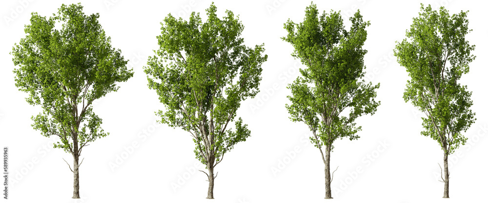 Jungle greenery trees shapes landscape cutout backgrounds abstract 3d rendering png Jungle greenery trees shapes landscape cutout backgrounds abstract 3d rendering png