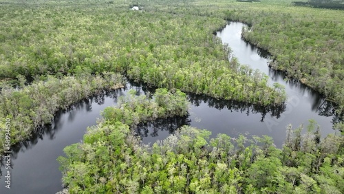 Fototapeta Naklejka Na Ścianę i Meble -  Landscape with Black River Nature conservation area in low country South Carolina near city of Andrews