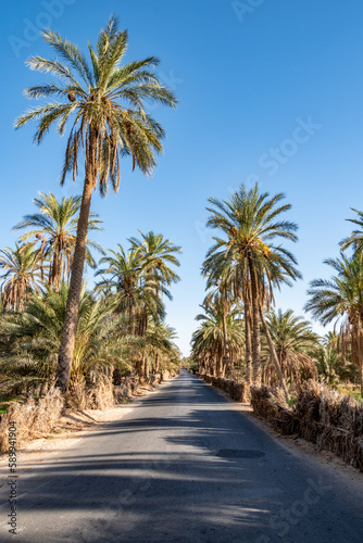 south part of Tunisia is full of suprises © Houssem