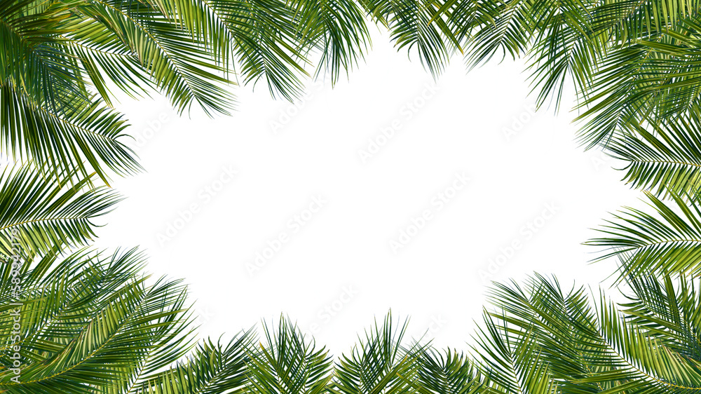 frame overlay green palm leaves texture with copy space in the middle