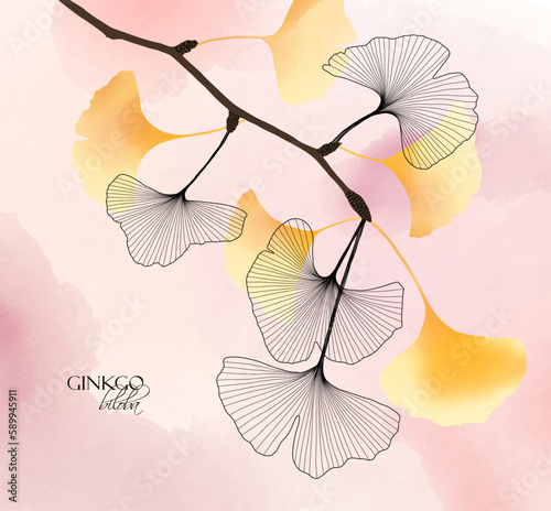 1369_Ginkgo biloba branch with leaves, hand drawn watercolor texture