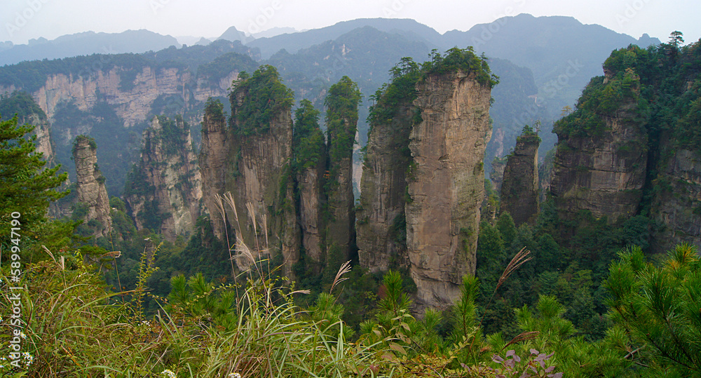 Zhangjiajie National Forest Park, Huang Shi Zhai, Hunan, China