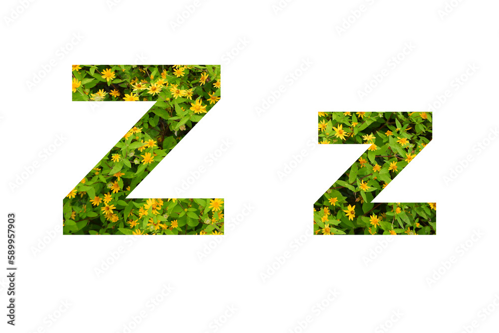 Flower font Alphabet isolated on white background made of Real alive yellow flowers Flower font Alphabet isolated on white background made of Real alive yellow flowers