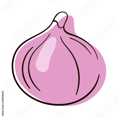 Fig fruit vector illustration. Hand drawn fig fruit Isolated on white background. Line art cartoon.