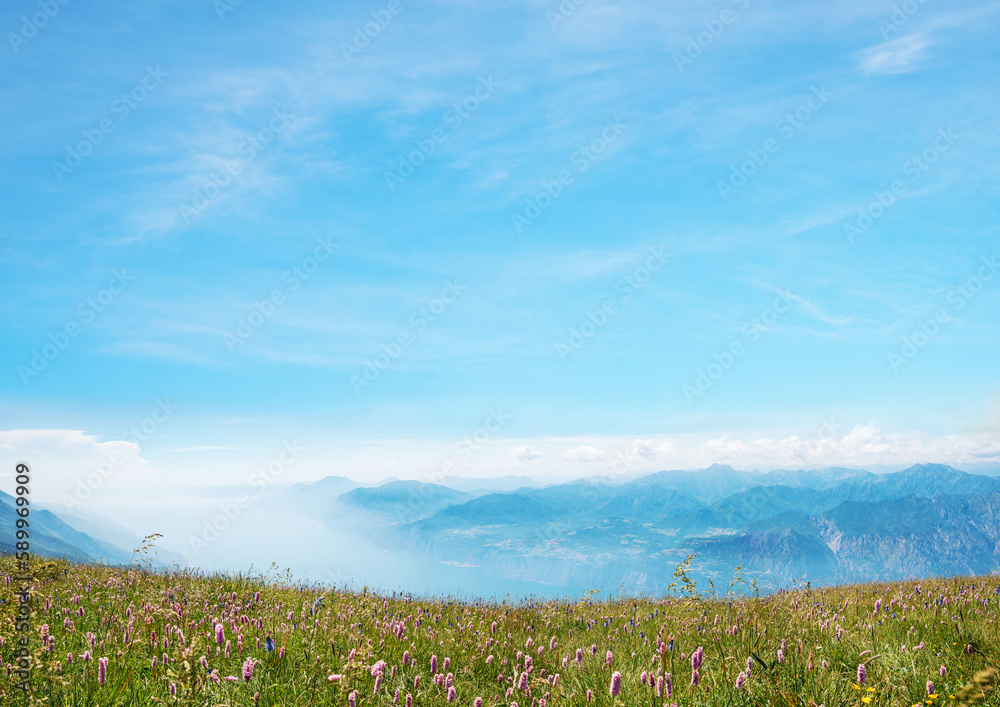 blue sky background with flower meadow monte Baldo landscape italy blue sky background with flower meadow monte Baldo landscape italy