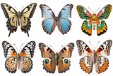 Assorted popular decorative butterflies isolated on white background. Blue Morpho, Madagascan Sunset, Painted Lady, Peacock, Eastern Tiger and other. Generated AI.