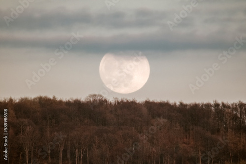 Landscape with forest at sunset and very big full Moon.