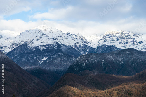 Beautiful mountain cover with snow at the peak in front of with pine forest. © Arunporn