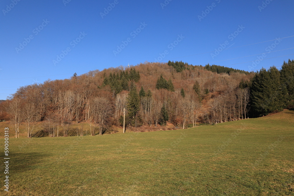 Blick auf die Naturlandschaft des Schwarzwaldes in der Nähe der Stadt Schönau