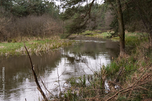 the river flows in the spring near the forest