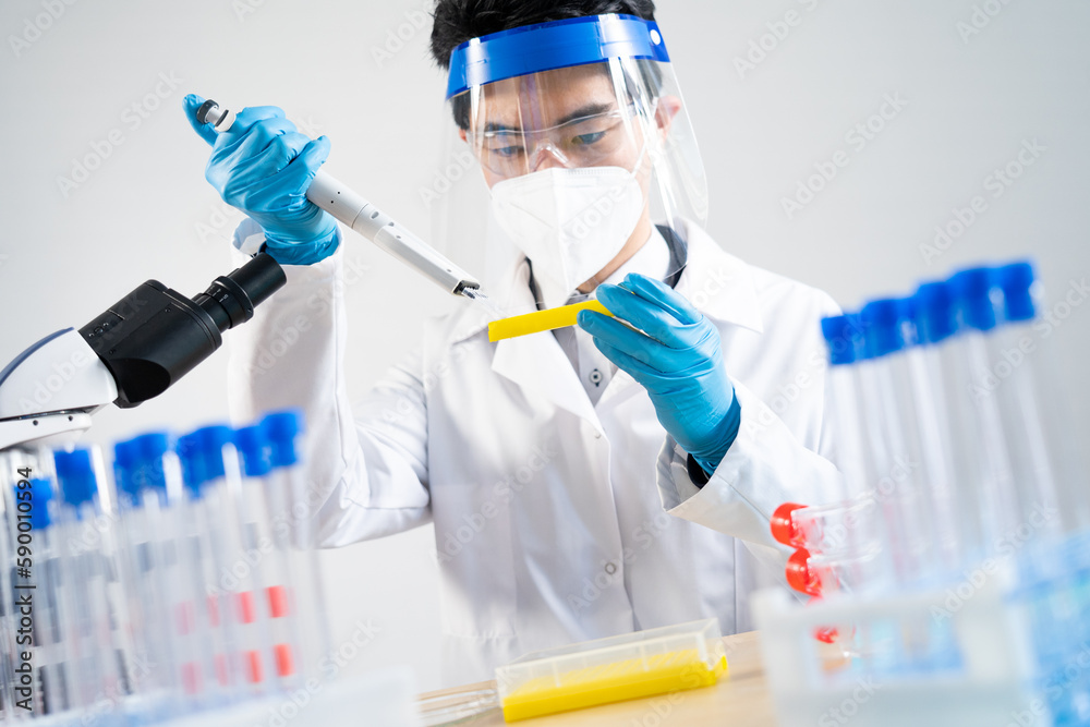 Laboratory assistant conducting experiments for laboratory research. Laboratory assistant conducting experiments for laboratory research.